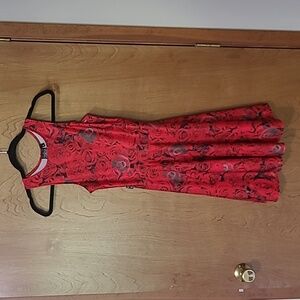 Grassroots skater dress RARE